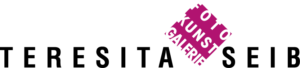 logo-teresitaseib